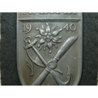 Нарукавный щит за кампанию - Нарвик 1940. Espenlaub militaria